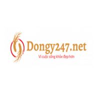 dongy247net