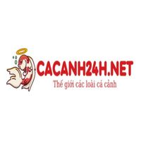 cacanh24h