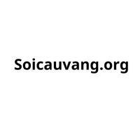 soicauvang_org