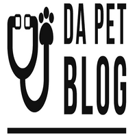 dabetblogcom