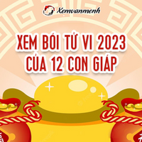 tuvi2023xvm