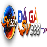 dangkysv388top