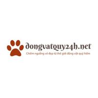 dongvatquy24h