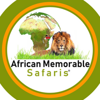 africanmemorable