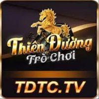 tdtctv