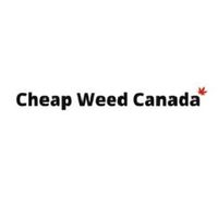 cheapweedcanaio