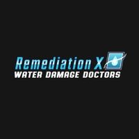RemediationX