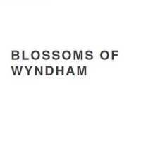 blossomofwyndham