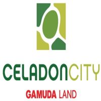 celadoncitytp