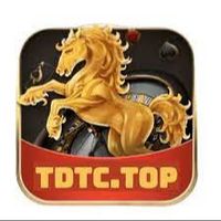 tdtctop2023