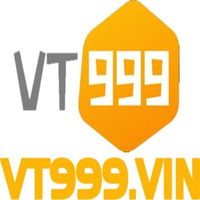 vt999vin