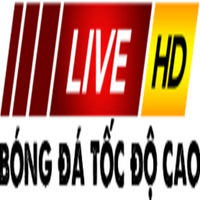 bongdatocdocao