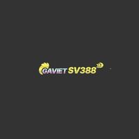 gavietsv388