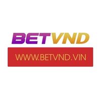 betvndvin