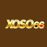 xoso66dogvi