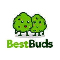 bestbudsthc