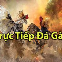 tructiepdagabet