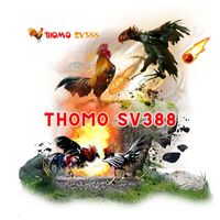 thomosv388a