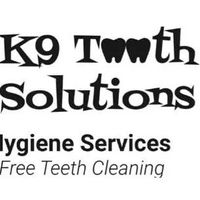 K9 Tooth Solutions