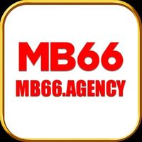 mb66agency