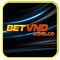 betvndcomco