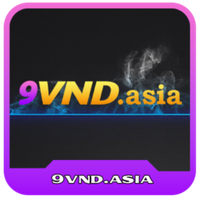 9vndasia