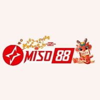 miso88kestcom