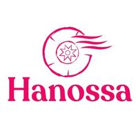 hanossahair