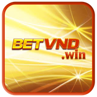 betvndwin