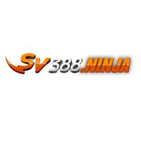 sv388ninja sv388ninja
