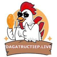 dagatructiep24