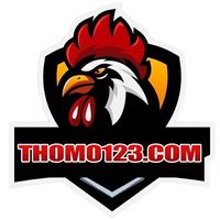 thomo123