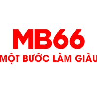 mb66blackceo