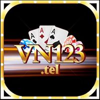 vn123tel