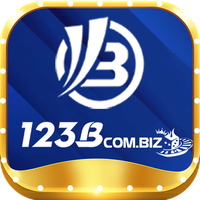 123bcombiz