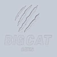bigcatcues bigcatcues