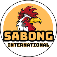 sabonginternatio