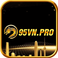 95vnpro