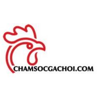 chamsocgachoicom