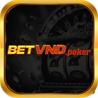 betvndpoker