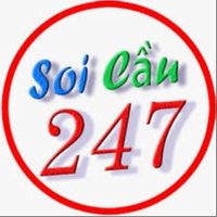 soicautop247