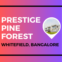Prestige Pine Forest 0