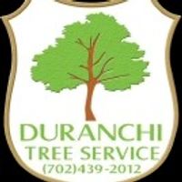 treeservicelv