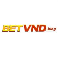 betvndblog