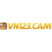 vn123cam