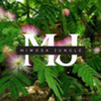 mimosajungle