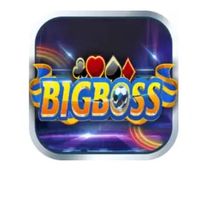bigbossv
