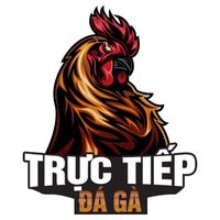 tructiepdaga