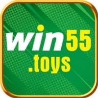WIN55TOYS
