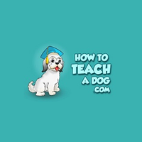 howtoteachadoguw